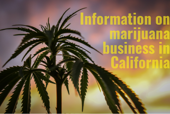 Information on marijuana business in California